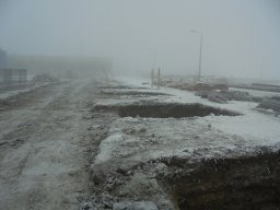 DSC00647